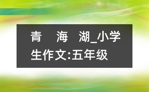 青    海   湖_小學(xué)生作文:五年級