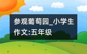 參觀葡萄園_小學(xué)生作文:五年級