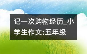 記一次購(gòu)物經(jīng)歷_小學(xué)生作文:五年級(jí)