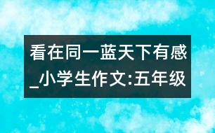 看在同一藍天下有感_小學生作文:五年級