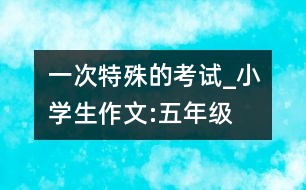 一次特殊的考試_小學(xué)生作文:五年級