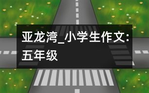 亞龍灣_小學(xué)生作文:五年級