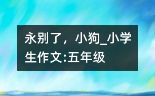 永別了，小狗_小學生作文:五年級