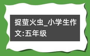 捉螢火蟲(chóng)_小學(xué)生作文:五年級(jí)