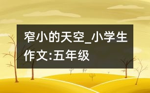 窄小的天空_小學(xué)生作文:五年級(jí)