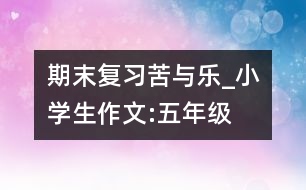 期末復(fù)習(xí)苦與樂_小學(xué)生作文:五年級(jí)