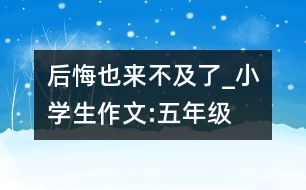 后悔也來不及了_小學(xué)生作文:五年級(jí)