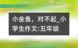 小金魚，對不起_小學生作文:五年級