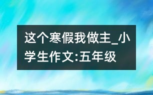 這個寒假我做主_小學(xué)生作文:五年級