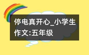 停電真開心_小學(xué)生作文:五年級(jí)