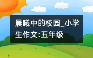 晨曦中的校園_小學(xué)生作文:五年級