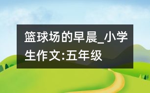 籃球場的早晨_小學(xué)生作文:五年級