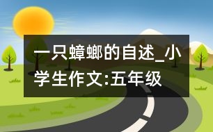 一只蟑螂的自述_小學(xué)生作文:五年級