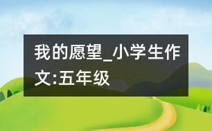 我的愿望_小學(xué)生作文:五年級