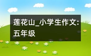 蓮花山_小學(xué)生作文:五年級