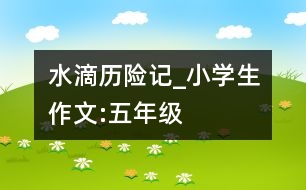 水滴歷險(xiǎn)記_小學(xué)生作文:五年級(jí)