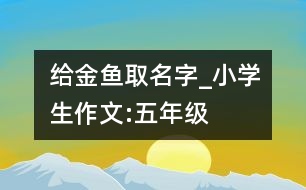 給金魚取名字_小學生作文:五年級