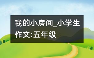 我的小房間_小學(xué)生作文:五年級