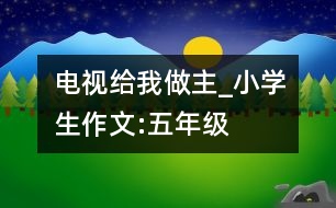 電視給我做主_小學(xué)生作文:五年級(jí)