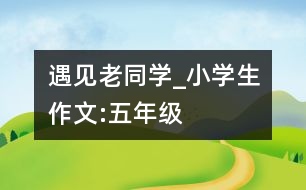 遇見(jiàn)老同學(xué)_小學(xué)生作文:五年級(jí)