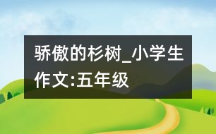 驕傲的杉樹(shù)_小學(xué)生作文:五年級(jí)