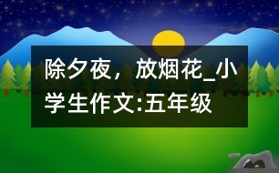 除夕夜，放煙花_小學(xué)生作文:五年級(jí)