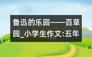 魯迅的樂(lè)園――百草園_小學(xué)生作文:五年級(jí)