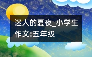 迷人的夏夜_小學生作文:五年級