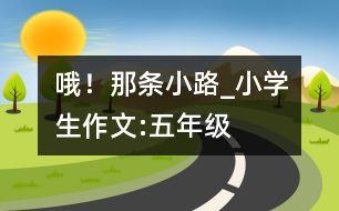 哦！那條小路_小學(xué)生作文:五年級