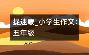 捉迷藏_小學(xué)生作文:五年級(jí)