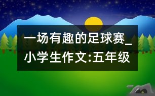 一場有趣的足球賽_小學生作文:五年級