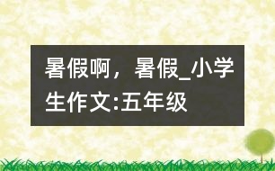 暑假啊，暑假_小學(xué)生作文:五年級(jí)