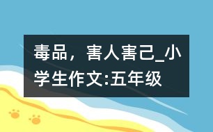 毒品，害人害己_小學生作文:五年級