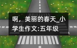 啊，美麗的春天_小學(xué)生作文:五年級(jí)