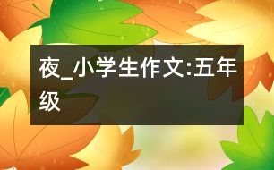 夜_小學(xué)生作文:五年級