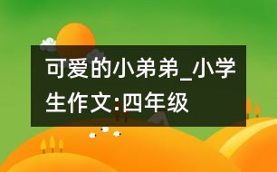 可愛(ài)的小弟弟_小學(xué)生作文:四年級(jí)