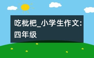 吃枇杷_小學(xué)生作文:四年級