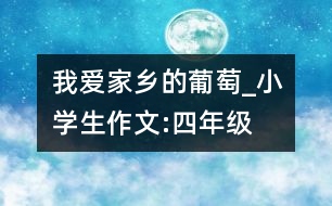 我愛家鄉(xiāng)的葡萄_小學(xué)生作文:四年級(jí)