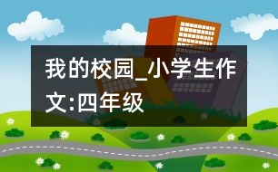 我的校園_小學生作文:四年級