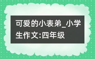 可愛(ài)的小表弟_小學(xué)生作文:四年級(jí)