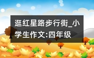 逛紅星路步行街_小學(xué)生作文:四年級(jí)