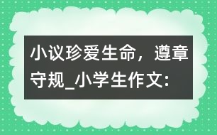 小議“珍愛生命，遵章守規(guī)”_小學(xué)生作文:四年級(jí)