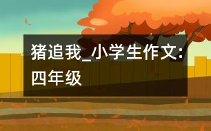 豬追我_小學(xué)生作文:四年級(jí)