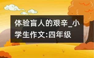 體驗(yàn)盲人的艱辛_小學(xué)生作文:四年級(jí)