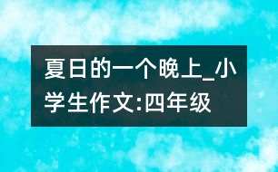 夏日的一個(gè)晚上_小學(xué)生作文:四年級