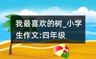 我最喜歡的樹_小學(xué)生作文:四年級(jí)