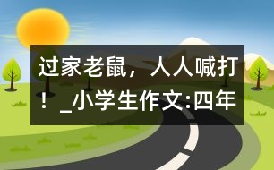 過“家”老鼠，人人喊打！_小學生作文:四年級