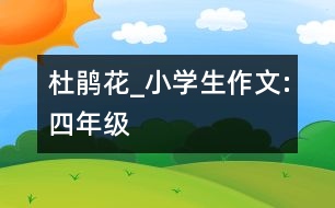 杜鵑花_小學生作文:四年級