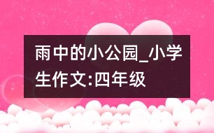 雨中的小公園_小學生作文:四年級