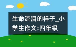 生命流淚的樣子_小學生作文:四年級